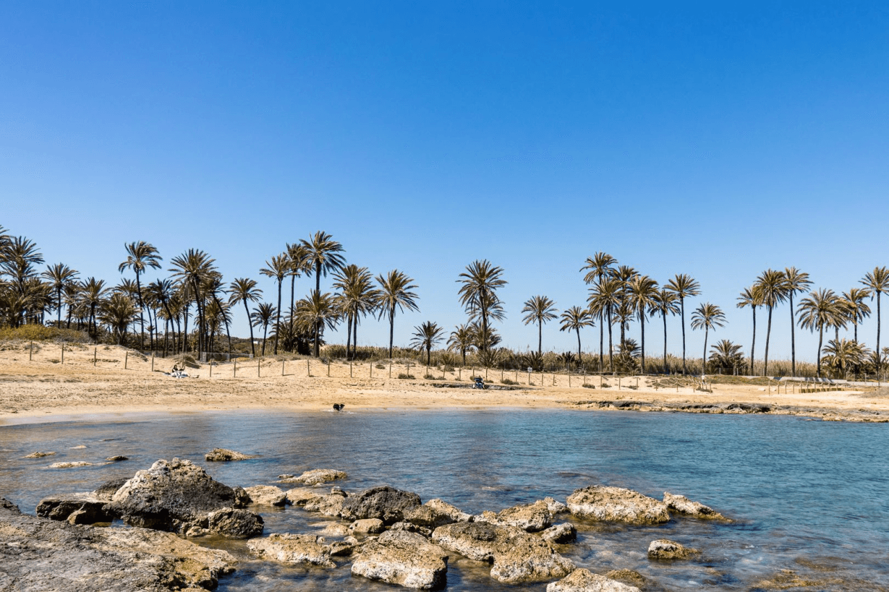Bungalow en venta en Torrevieja